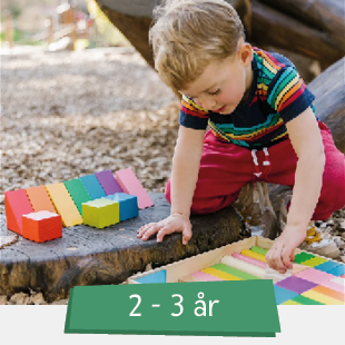 Leksaker 2-3 år