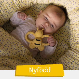 Leksaker nyfödd